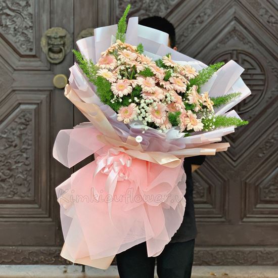 Bó hoa đồng tiền hồng nhạt - HB208