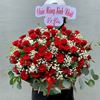 Lẵng hoa hồng đỏ - HG229