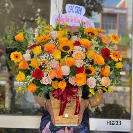 Lẵng hoa hướng dương, hoa hồng - HG233