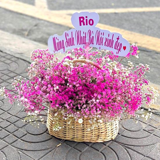 giỏ hoa baby hồng - HG249