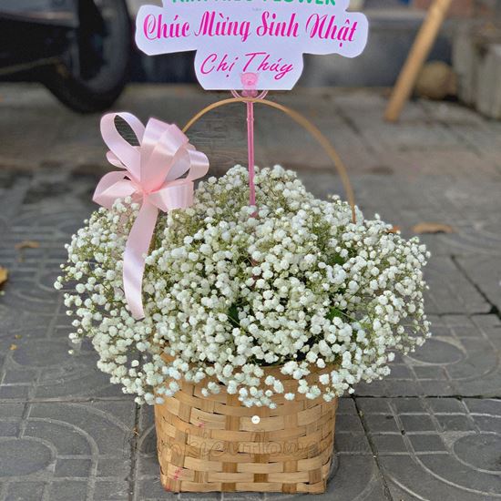 giỏ hoa baby trắng - HG250