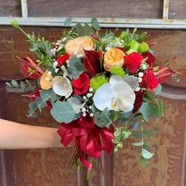 Bó hoa hồng david, hồng môn đỏ - HC39