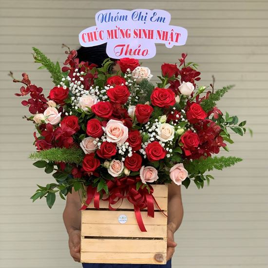 giỏ hoa hồng kem, đỏ, lan đỏ - HG255