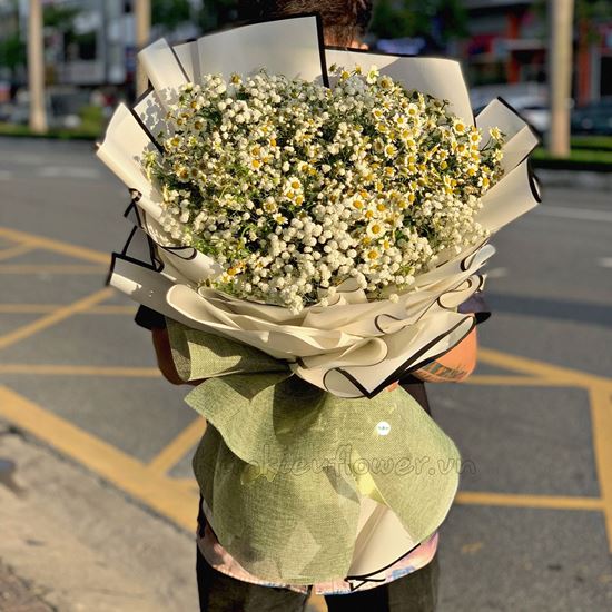 Bó hoa cúc tana, baby - HB246