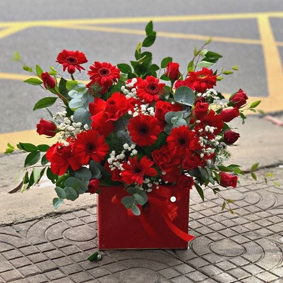 giỏ hoa hồng đỏ, đồng tiền - HG275