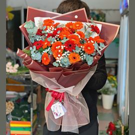 Bó hoa đồng tiền - HB251