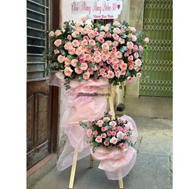 Kệ hoa chúc mừng hồng Ohara hồng mix lạc lần - KH425