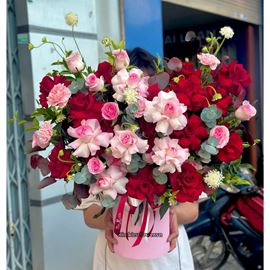 Hộp hoa hồng lạc thần mix hồng đỏ - HG890