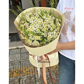 Bó hoa cúc tana tròn - HB880