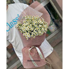 Bó hoa cúc tana - HB886