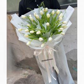 Bó hoa tulip trắng 30 bông - HB882