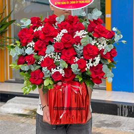 Giỏ chúc mừng đỏ eku - HG896