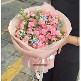 Bó hoa cẩm chướng hồng mix sao xanh - HB942