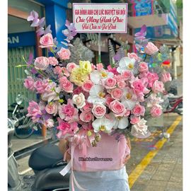 Giỏ hoa chúc mừng tone hồng mix lan hồ điệp - HG906