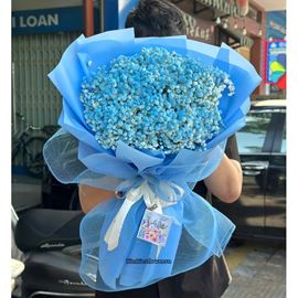 Bó hoa baby tone xanh dương - HB957