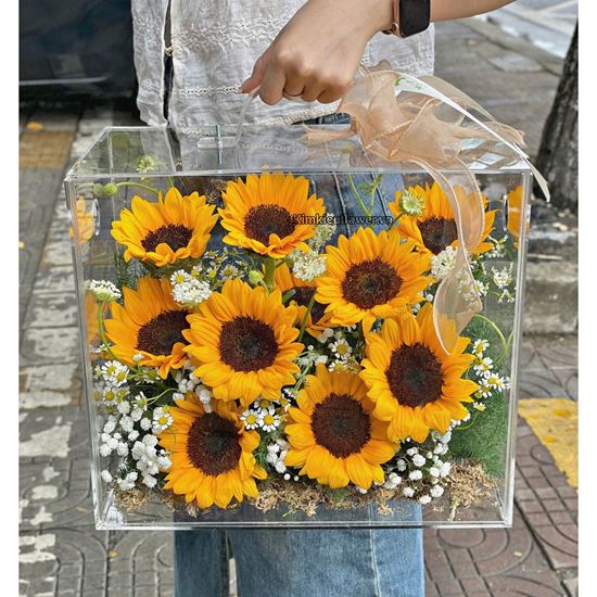 Hộp mica hướng dương - HG924