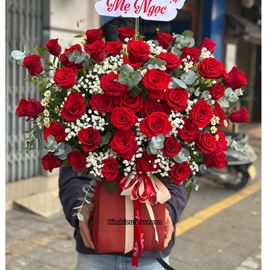 Giỏ hoa chúc mừng hồng đỏ mix lá bạc - HG931