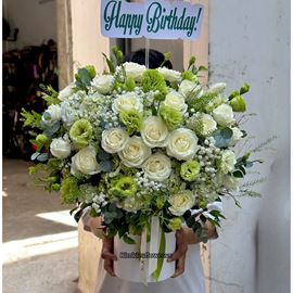 Giỏ hoa chúc mừng cẩm tú cầu mix cát tường xanh - HG933