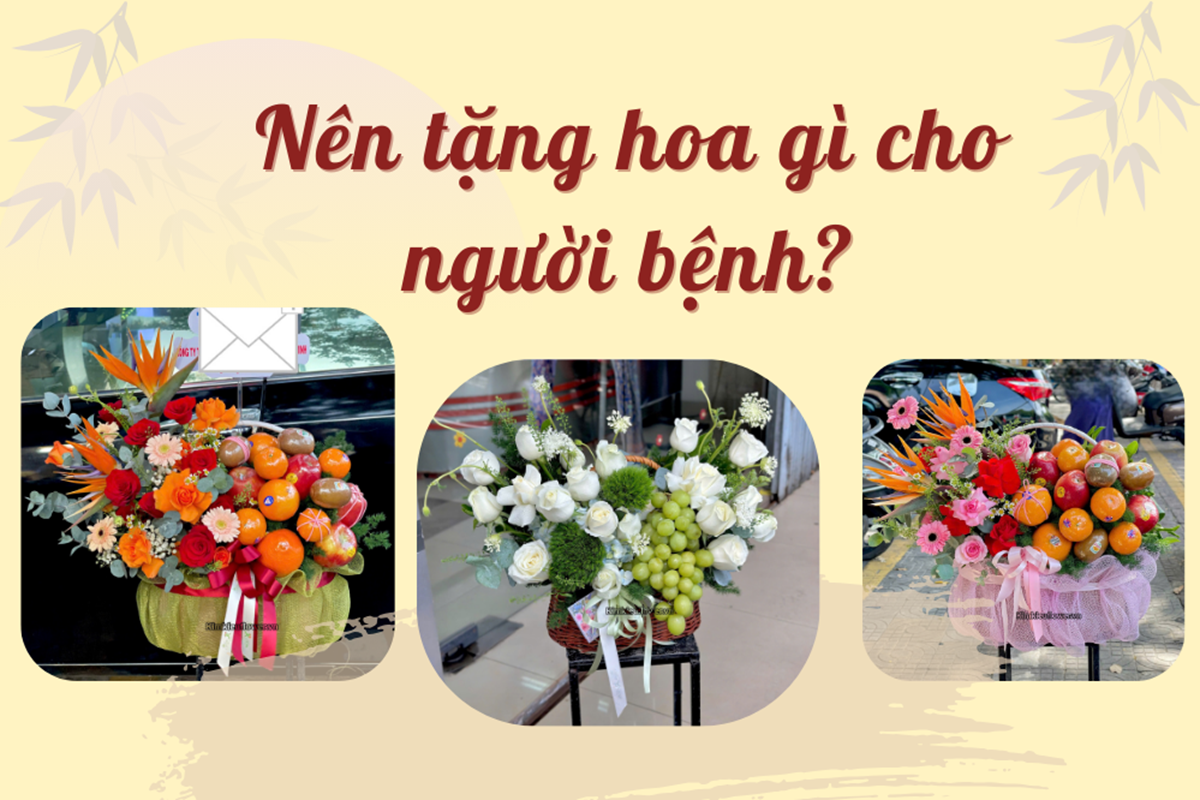 Nên tặng hoa gì cho người bệnh? Hoa tươi kết hợp trái cây tặng người bệnh