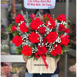 Giỏ hoa chúc mừng tone đỏ - HG945