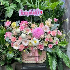 Giỏ hoa chúc mừng tone hồng mix tulip trắng - HG948