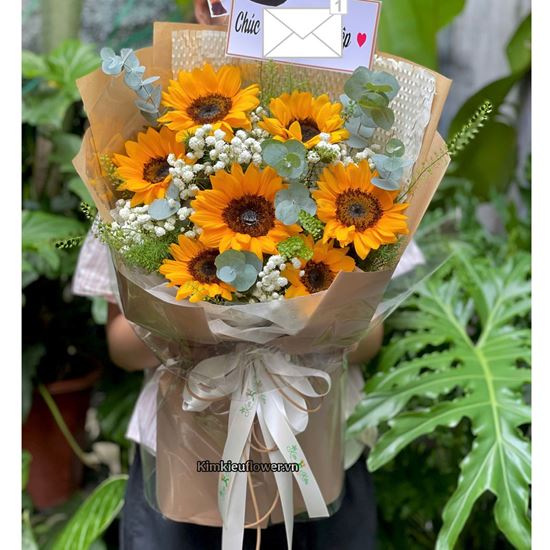 Bó hoa chúc mừng hướng dương mix lá bạc - HB1013