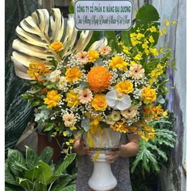 Bình hoa chúc mừng tone vàng mix lan hồ điệp - BI367