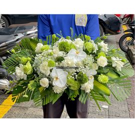 Đĩa hoa chúc mừng tone xanh lá mix lan hồ điệp - ĐH47