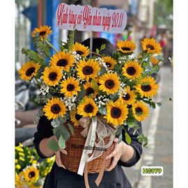 Giỏ hoa chúc mừng hướng dương - HG979
