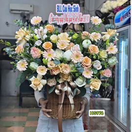 Giỏ hoa chúc mừng hồng shimmer mix cúc pingpong - HG976