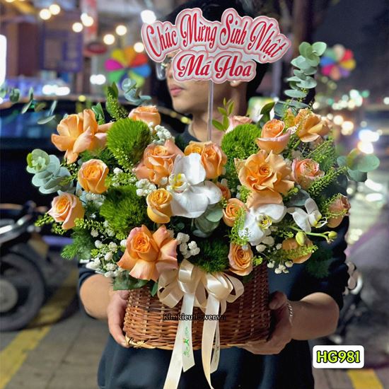 Giỏ hoa chúc mừng hồng shimmer mix lan hồ điệp - HG981
