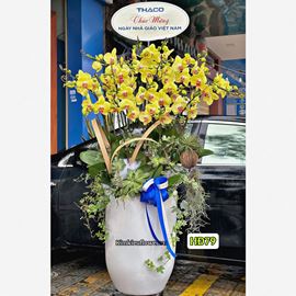 Bình lan hồ điệp vàng - HĐ79