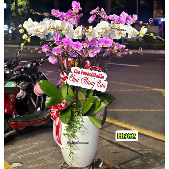 Bình lan hồ điệp trắng mix tím - HĐ82
