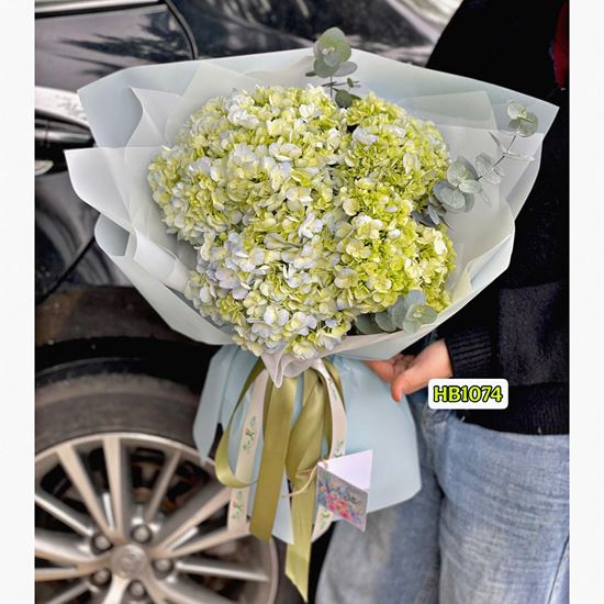 Picture of Bó hoa chúc mừng cẩm tú cầu - HB1074