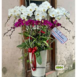 Picture of Bình lan hồ điệp tone trắng tím - HĐ84