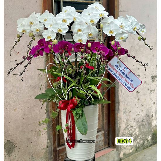 Picture of Bình lan hồ điệp tone trắng tím - HĐ84