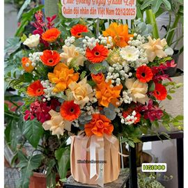 Picture of Giỏ hoa chúc mừng tone vàng cam mix lan đỏ - HG1000