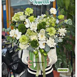 Picture of Giỏ hoa chúc mừng tone xanh lá mix lan hồ điệp trắng - HG1002