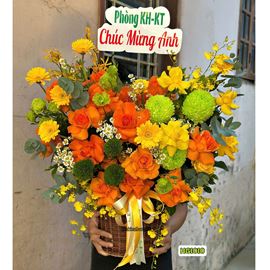 Picture of Giỏ hoa chúc mừng tone vàng cam mix cúc mẫu đơn xanh và green wicky - HG1010