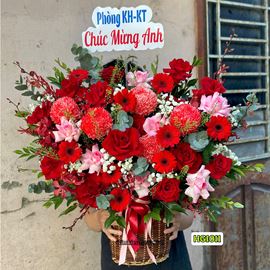 Picture of Giỏ hoa chúc mừng tone đỏ hồng mix cúc mẫu đơn và lan đỏ - HG1011