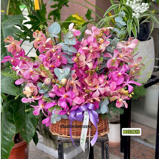 Picture of Giỏ hoa chúc mừng lan mokara tím mix lá bạc - HG1013
