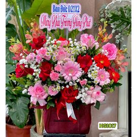 Picture of Giỏ hoa chúc mừng tone đỏ hồng - HG1017