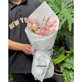 Picture of Bó hoa chúc mừng tulip hồng - HB1095