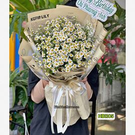 Picture of Bó hoa chúc mừng cúc tana - HB1105