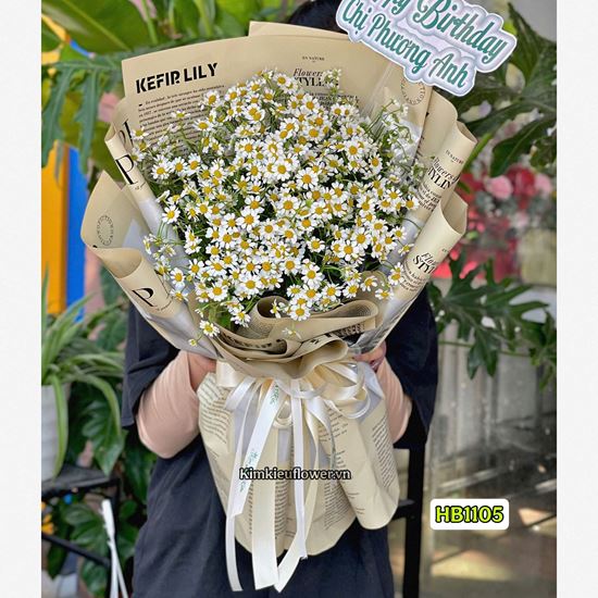 Picture of Bó hoa chúc mừng cúc tana - HB1105