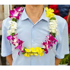 Picture of Vòng cổ mix nhiều tone màu - BH28