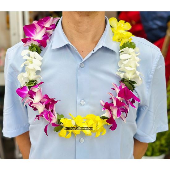 Picture of Vòng cổ mix nhiều tone màu - BH28