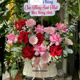 Picture of Giỏ hoa chúc mừng tone đỏ hồng mix lá bạc - HG1042