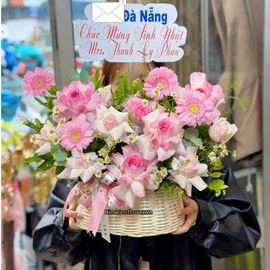 Picture of Giỏ hoa chúc mừng tone hồng mix cúc tana - HG1049