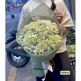 Picture of Bó hoa chúc mừng cẩm tú cầu mix baby - HB1140